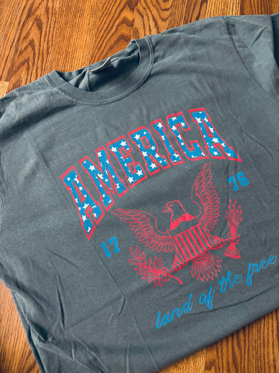 America Graphic Tee (S-3X)